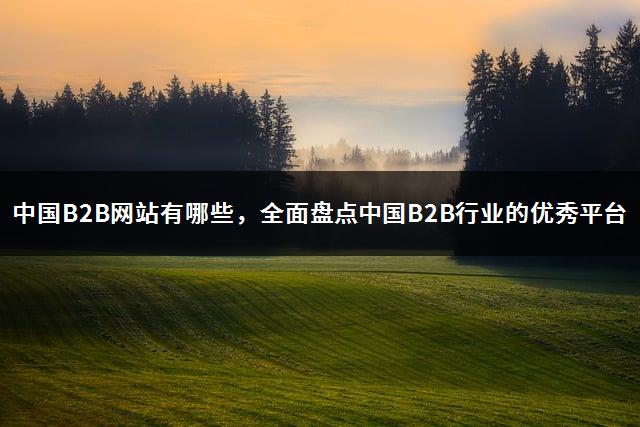 中国B2B网站有哪些，全面盘点中国B2B行业的优秀平台-1