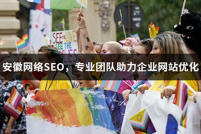 安徽网络SEO，专业团队助力企业网站优化-1