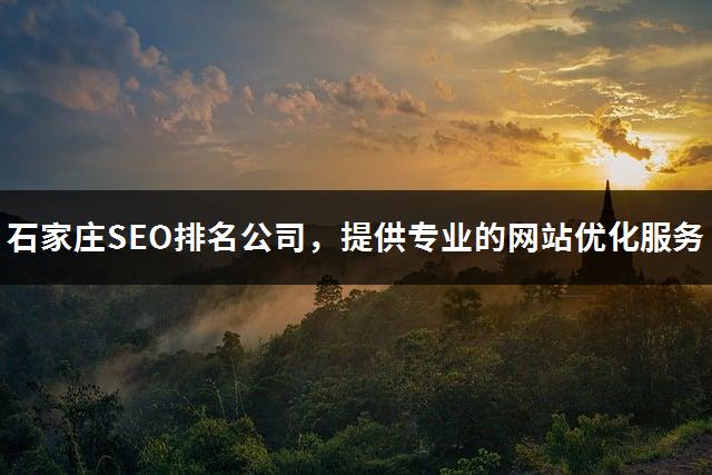 石家庄SEO排名公司，提供专业的网站优化服务-1