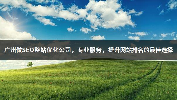广州做SEO整站优化公司，专业服务，提升网站排名的最佳选择-1