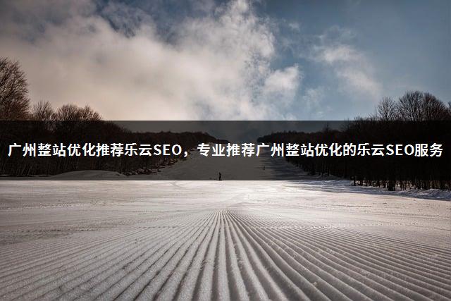 广州整站优化推荐乐云SEO，专业推荐广州整站优化的乐云SEO服务-1