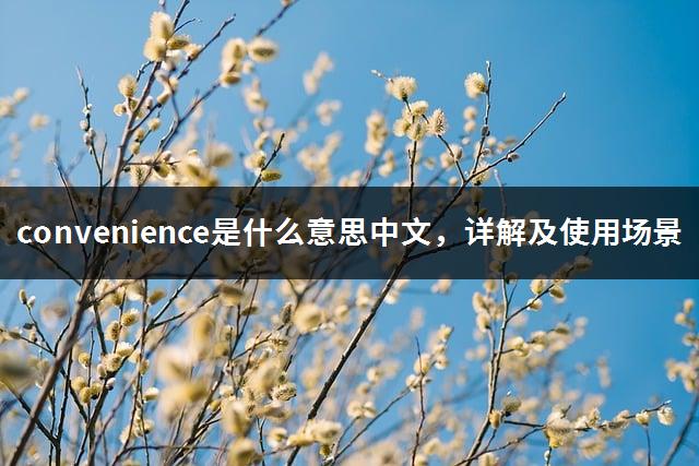 convenience是什么意思中文，详解及使用场景-1