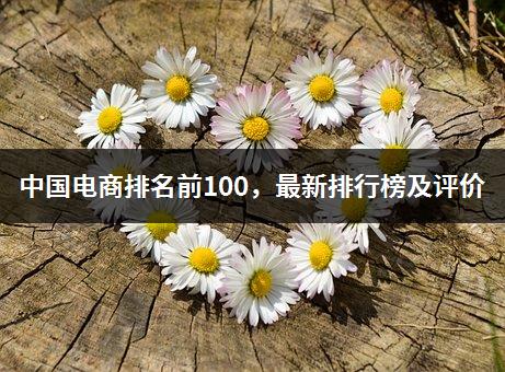 中国电商排名前100，最新排行榜及评价-1