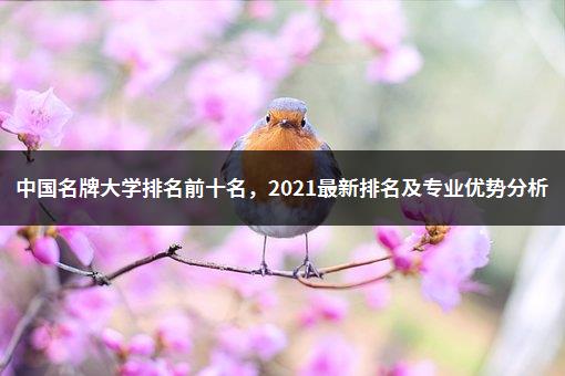 中国名牌大学排名前十名，2021最新排名及专业优势分析-1