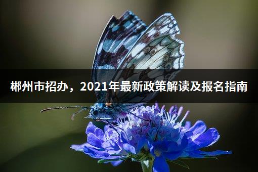 郴州市招办，2021年最新政策解读及报名指南-1
