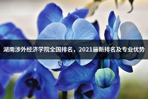 湖南涉外经济学院全国排名，2021最新排名及专业优势-1
