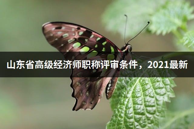 山东省高级经济师职称评审条件，2021最新-1