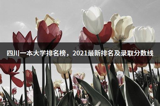 四川一本大学排名榜，2021最新排名及录取分数线-1