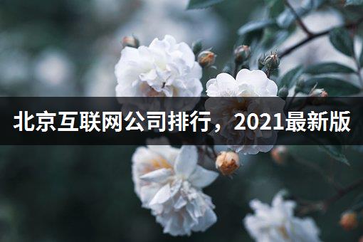 北京互联网公司排行，2021最新版-1