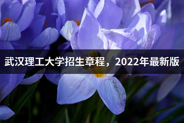 武汉理工大学招生章程，2022年最新版-1