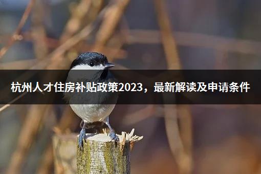 杭州人才住房补贴政策2023，最新解读及申请条件-1