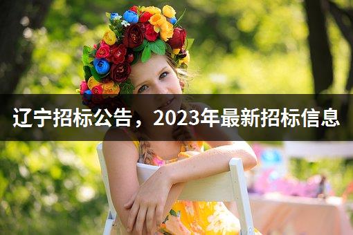 辽宁招标公告，2023年最新招标信息-1