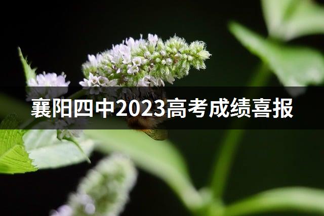 襄阳四中2023高考成绩喜报-1