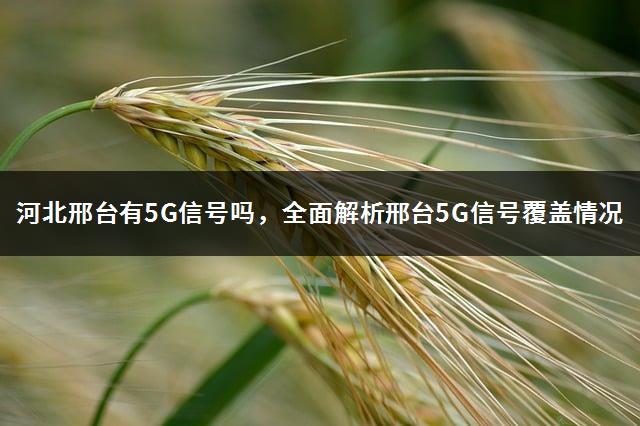 河北邢台有5G信号吗，全面解析邢台5G信号覆盖情况-1