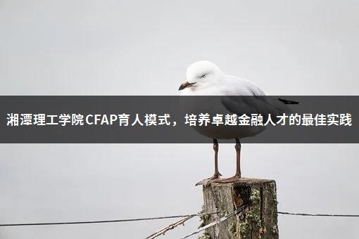 湘潭理工学院CFAP育人模式，培养卓越金融人才的最佳实践-1