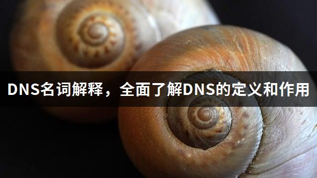 DNS名词解释，全面了解DNS的定义和作用-1