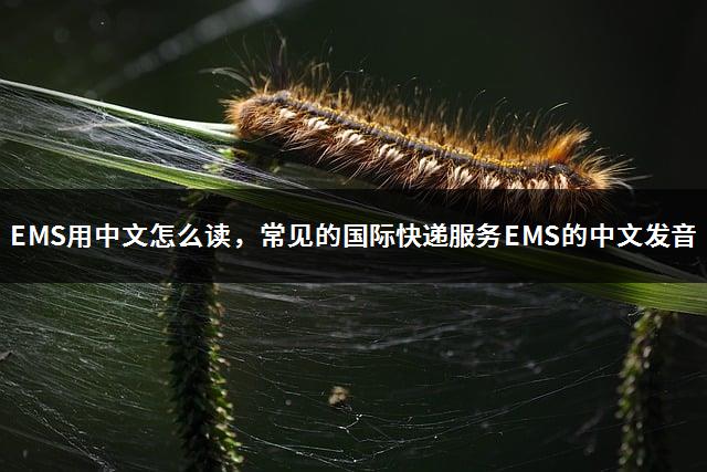 EMS用中文怎么读，常见的国际快递服务EMS的中文发音-1