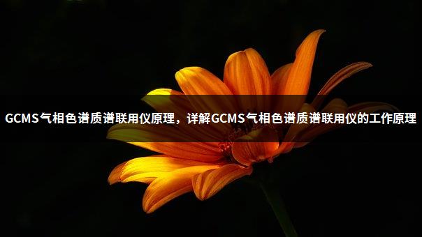 GCMS气相色谱质谱联用仪原理，详解GCMS气相色谱质谱联用仪的工作原理-1
