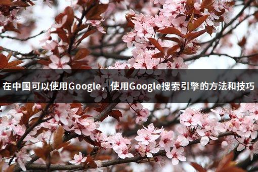 在中国可以使用Google，使用Google搜索引擎的方法和技巧-1