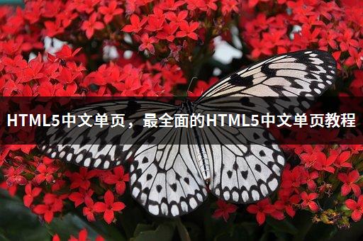 HTML5中文单页，最全面的HTML5中文单页教程-1