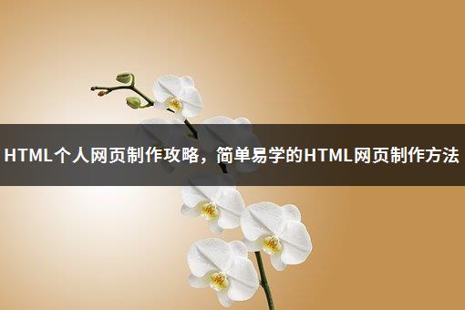 HTML个人网页制作攻略，简单易学的HTML网页制作方法-1