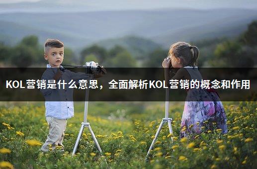 KOL营销是什么意思，全面解析KOL营销的概念和作用-1