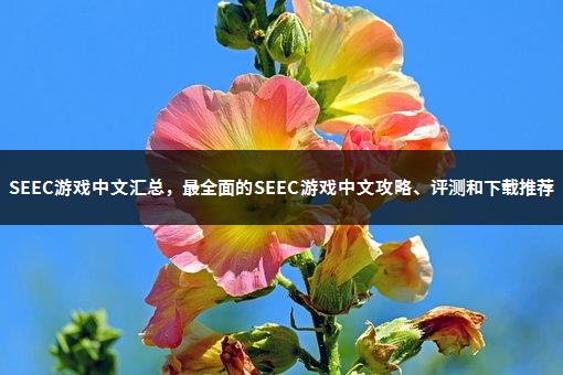 SEEC游戏中文汇总，最全面的SEEC游戏中文攻略、评测和下载推荐-1