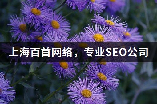 上海百首网络，专业SEO公司-1