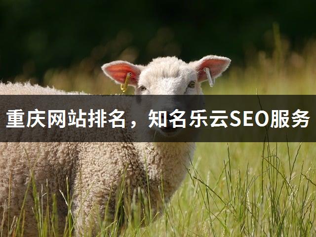 重庆网站排名，知名乐云SEO服务-1