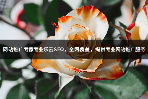 网站推广专家专业乐云SEO，全网覆盖，提供专业网站推广服务-1