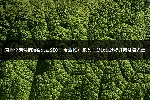 深圳全网营销知名乐云SEO，专业推广服务，助您快速提升网站曝光度-1