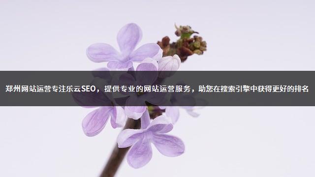 郑州网站运营专注乐云SEO，提供专业的网站运营服务，助您在搜索引擎中获得更好的排名-1