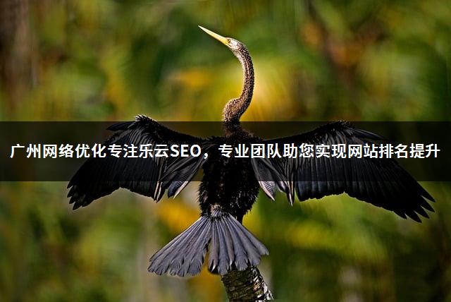 广州网络优化专注乐云SEO，专业团队助您实现网站排名提升-1
