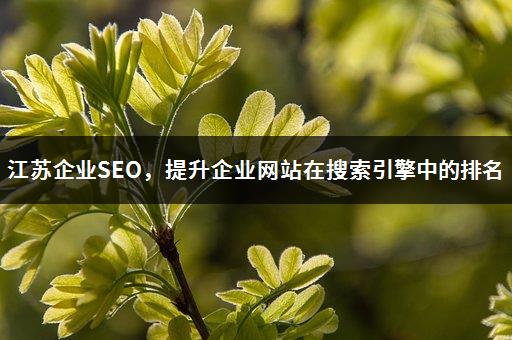 江苏企业SEO，提升企业网站在搜索引擎中的排名-1