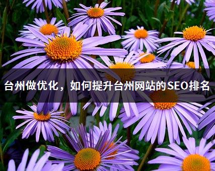 台州做优化，如何提升台州网站的SEO排名-1