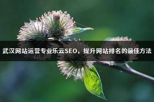 武汉网站运营专业乐云SEO，提升网站排名的最佳方法-1
