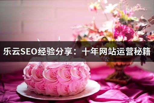 乐云SEO经验分享：十年网站运营秘籍-1