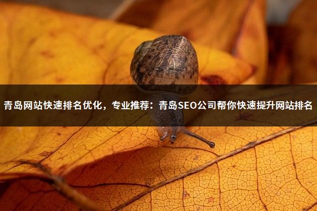 青岛网站快速排名优化，专业推荐：青岛SEO公司帮你快速提升网站排名-1