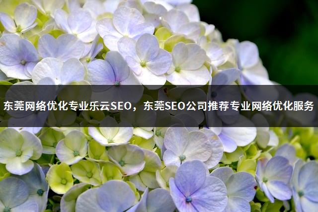 东莞网络优化专业乐云SEO，东莞SEO公司推荐专业网络优化服务-1
