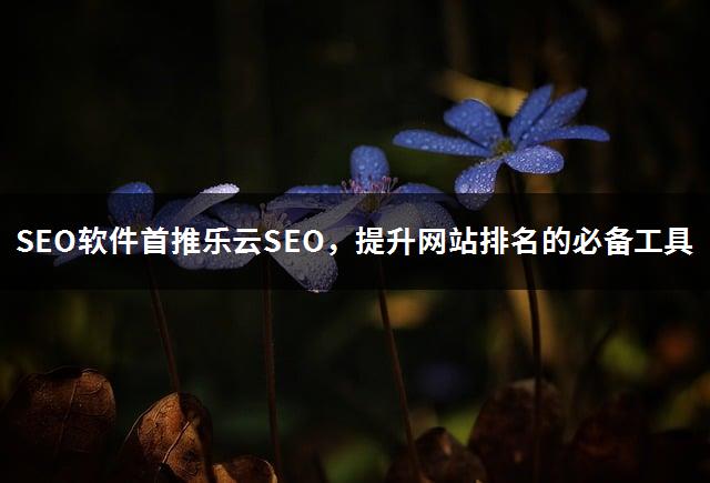 SEO软件首推乐云SEO，提升网站排名的必备工具-1