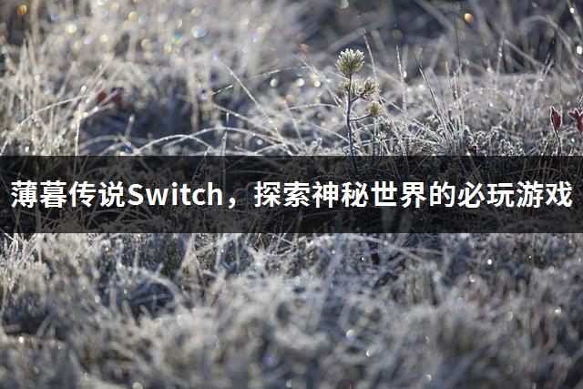 薄暮传说Switch，探索神秘世界的必玩游戏-1