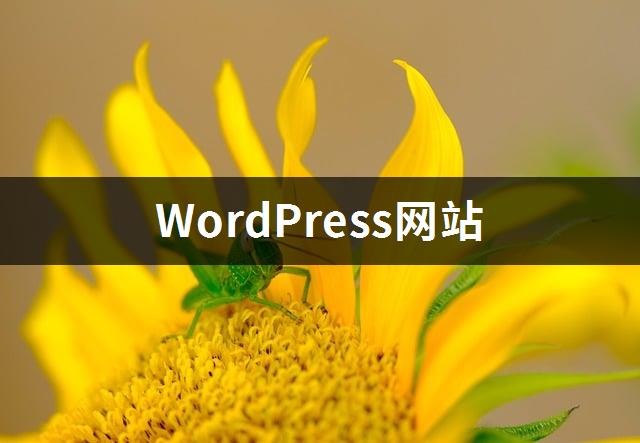 WordPress网站-1