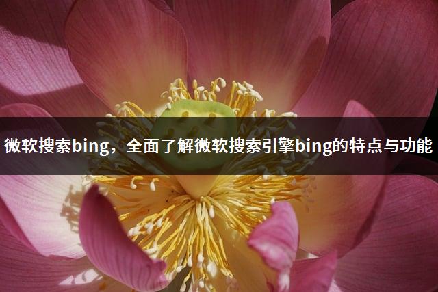 微软搜索bing，全面了解微软搜索引擎bing的特点与功能-1