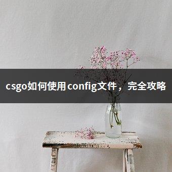 csgo如何使用config文件，完全攻略-1