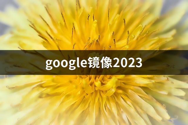 google镜像2023-1