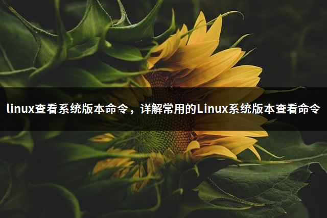 linux查看系统版本命令，详解常用的Linux系统版本查看命令-1