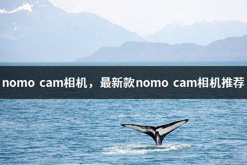 nomo cam相机，最新款nomo cam相机推荐-1