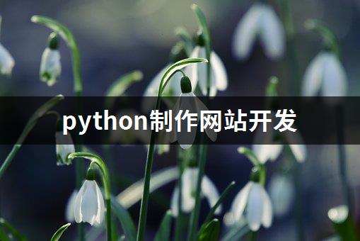 python制作网站开发-1