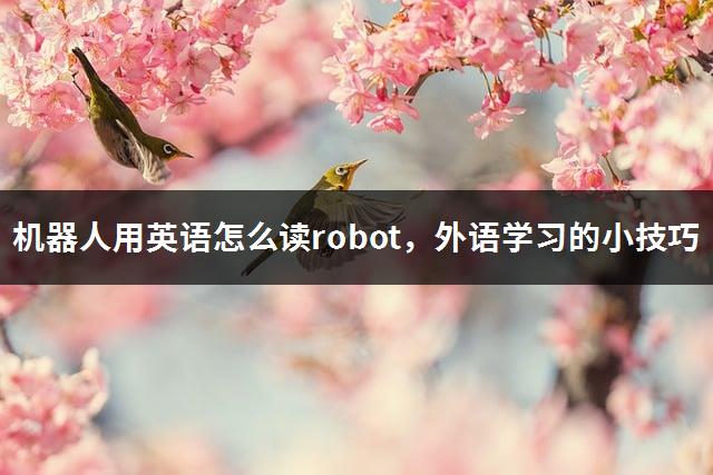 机器人用英语怎么读robot，外语学习的小技巧-1