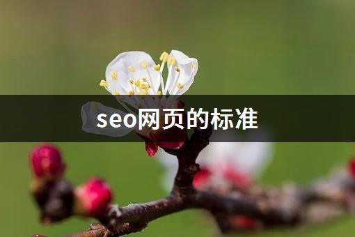 seo网页的标准-1